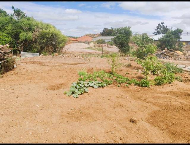 LAND FOR SALE IN MANKWENG